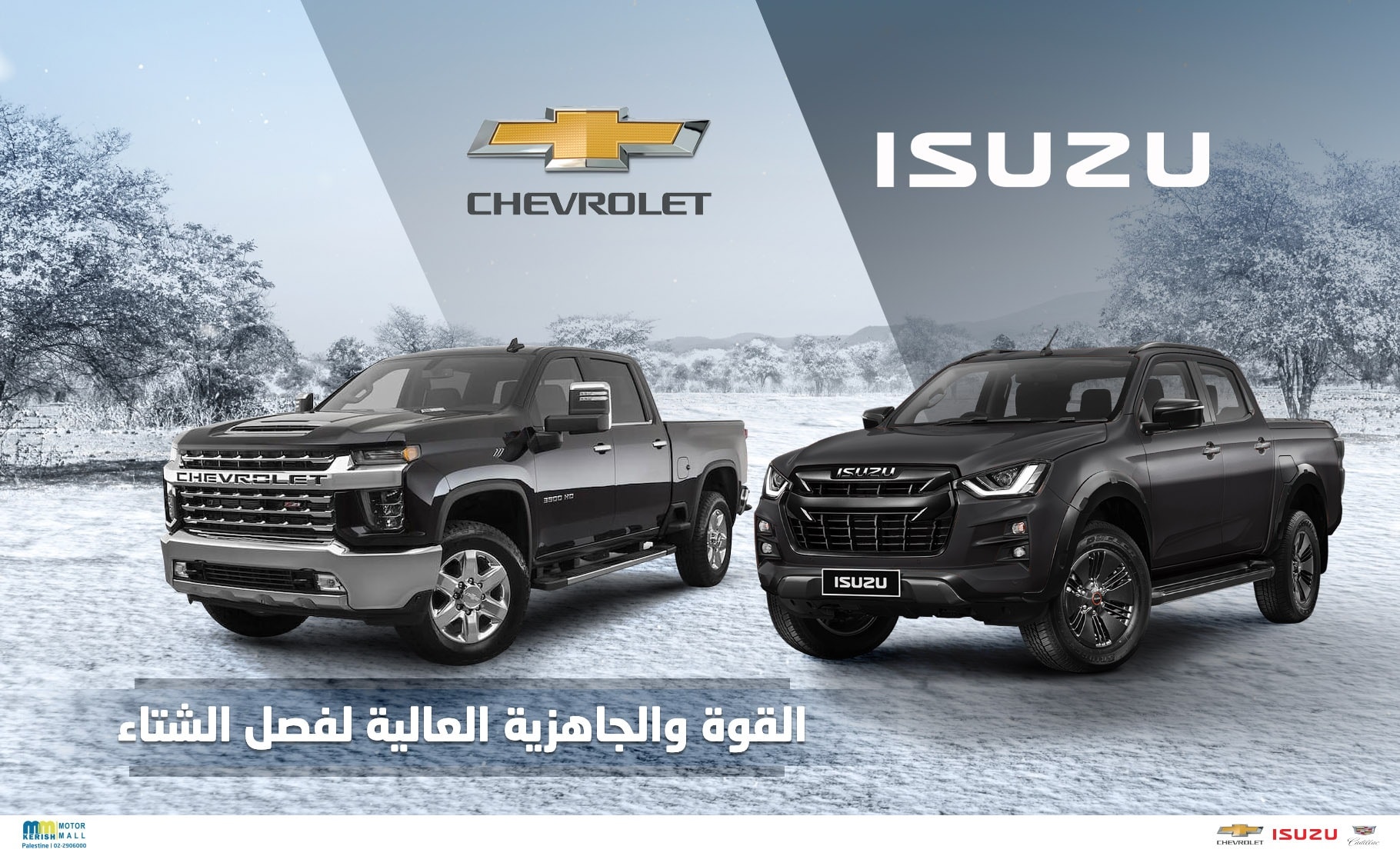 قرش موتور مول